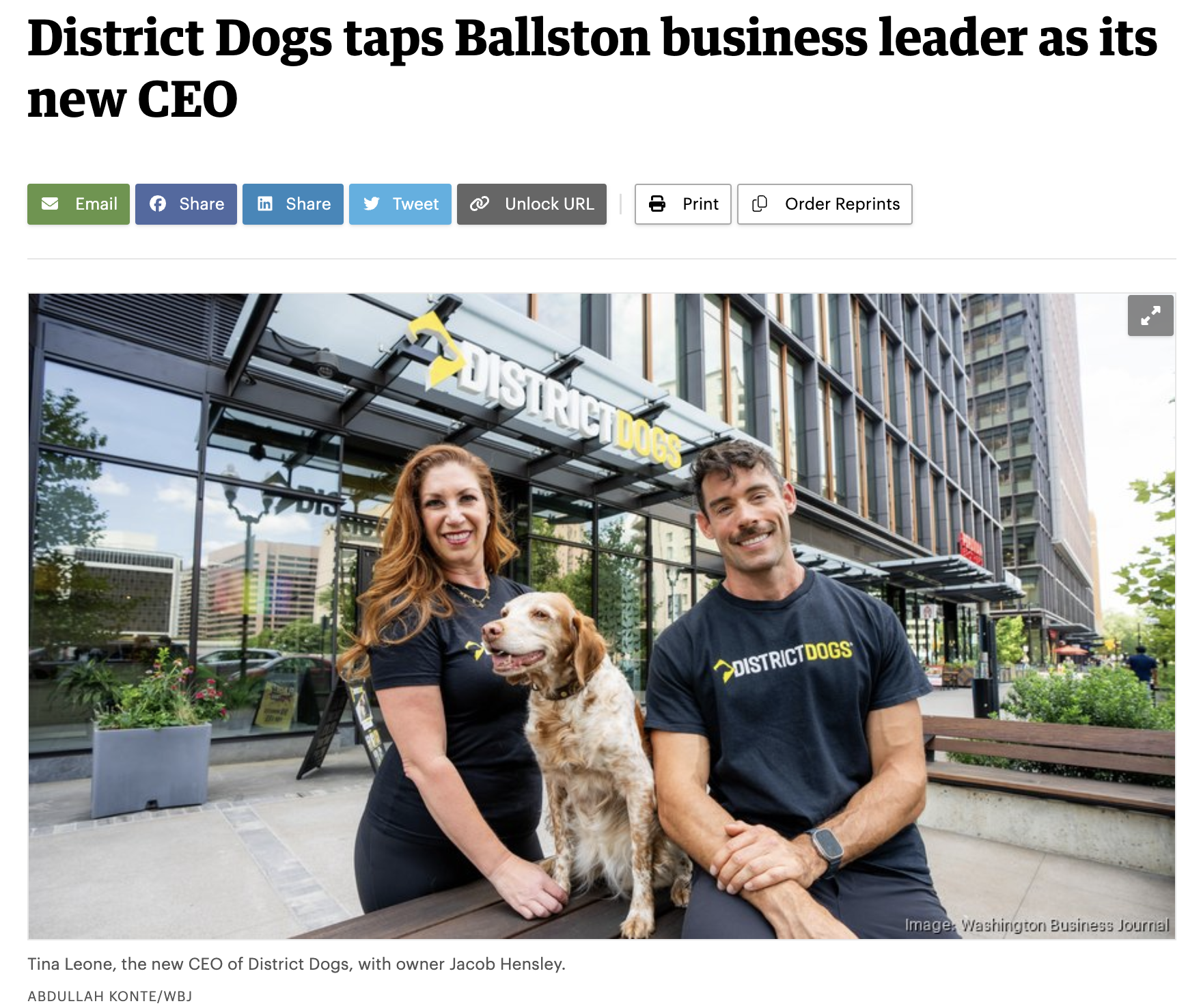 CEO District Dogs